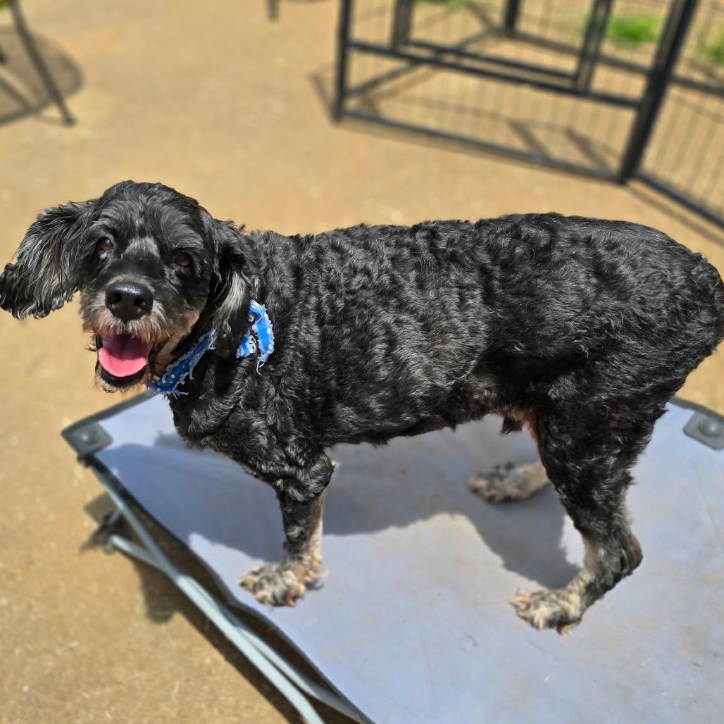 Picture of Walter