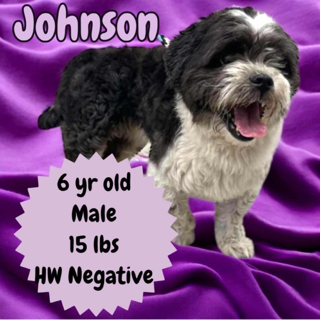 Johnson