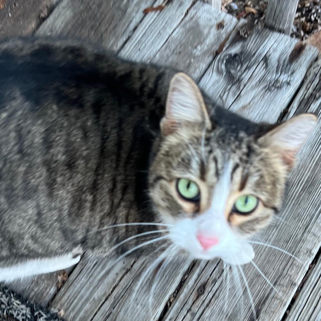 Found NW Rochester