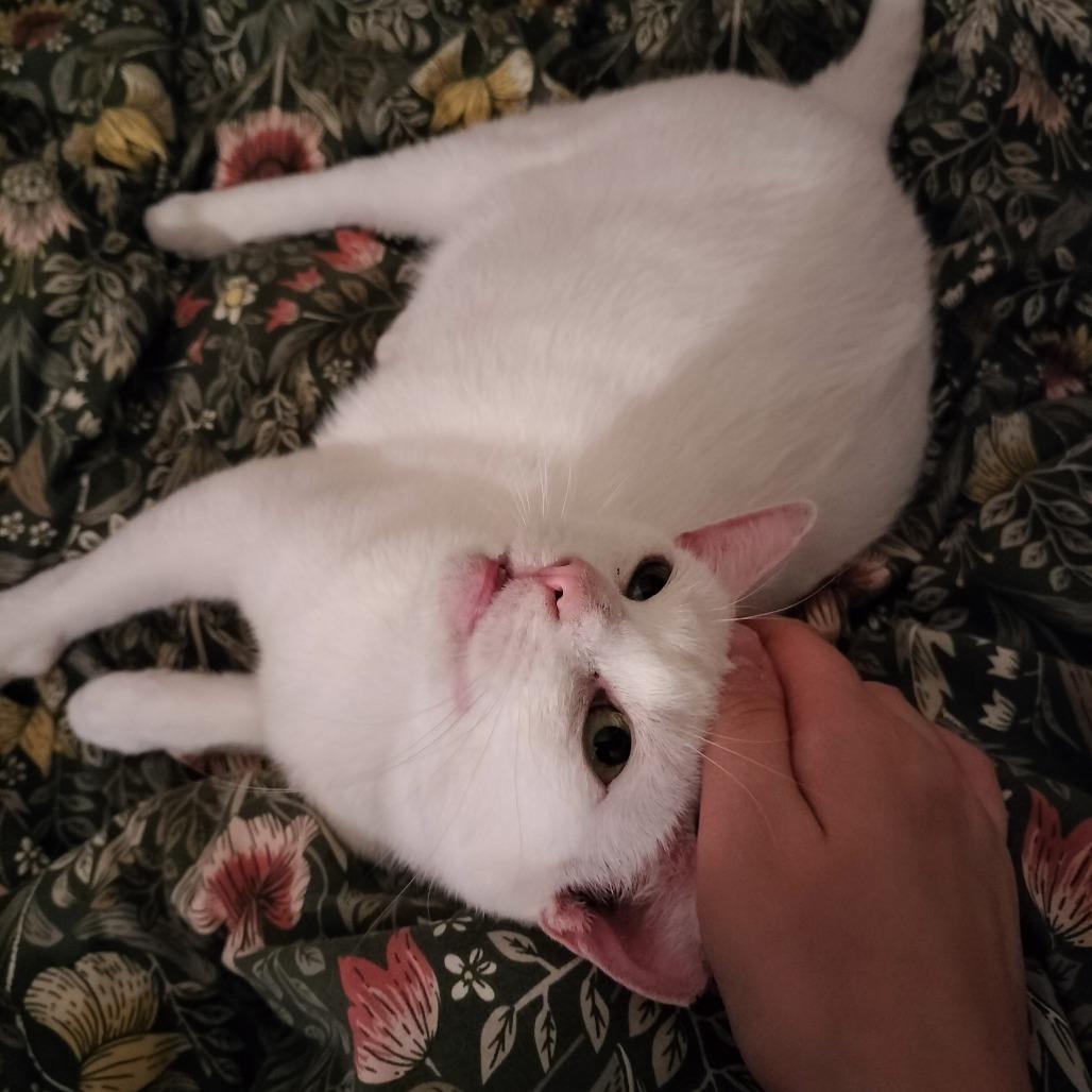 Elsa Mae 