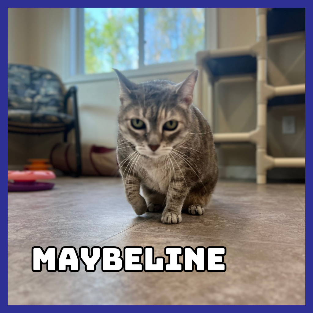 Maybeline