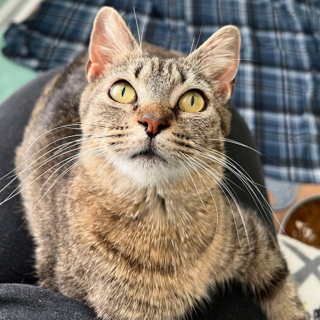 Mel