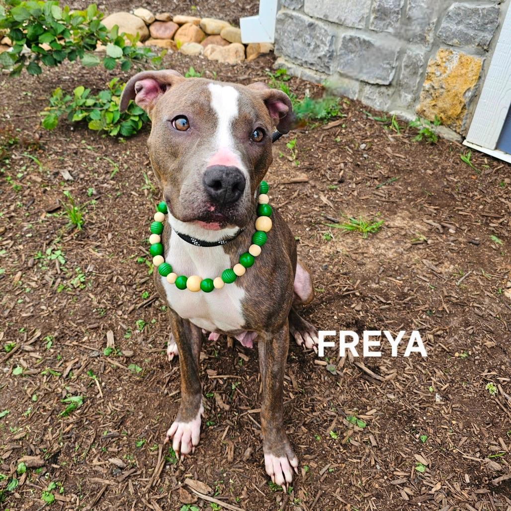 Freya