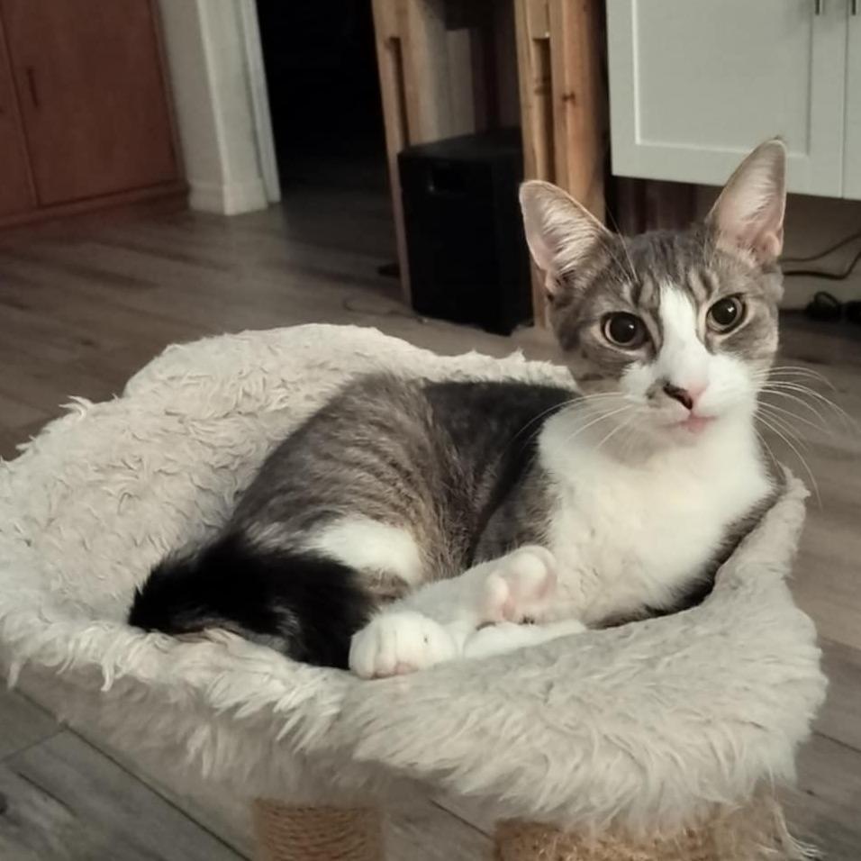 Milton