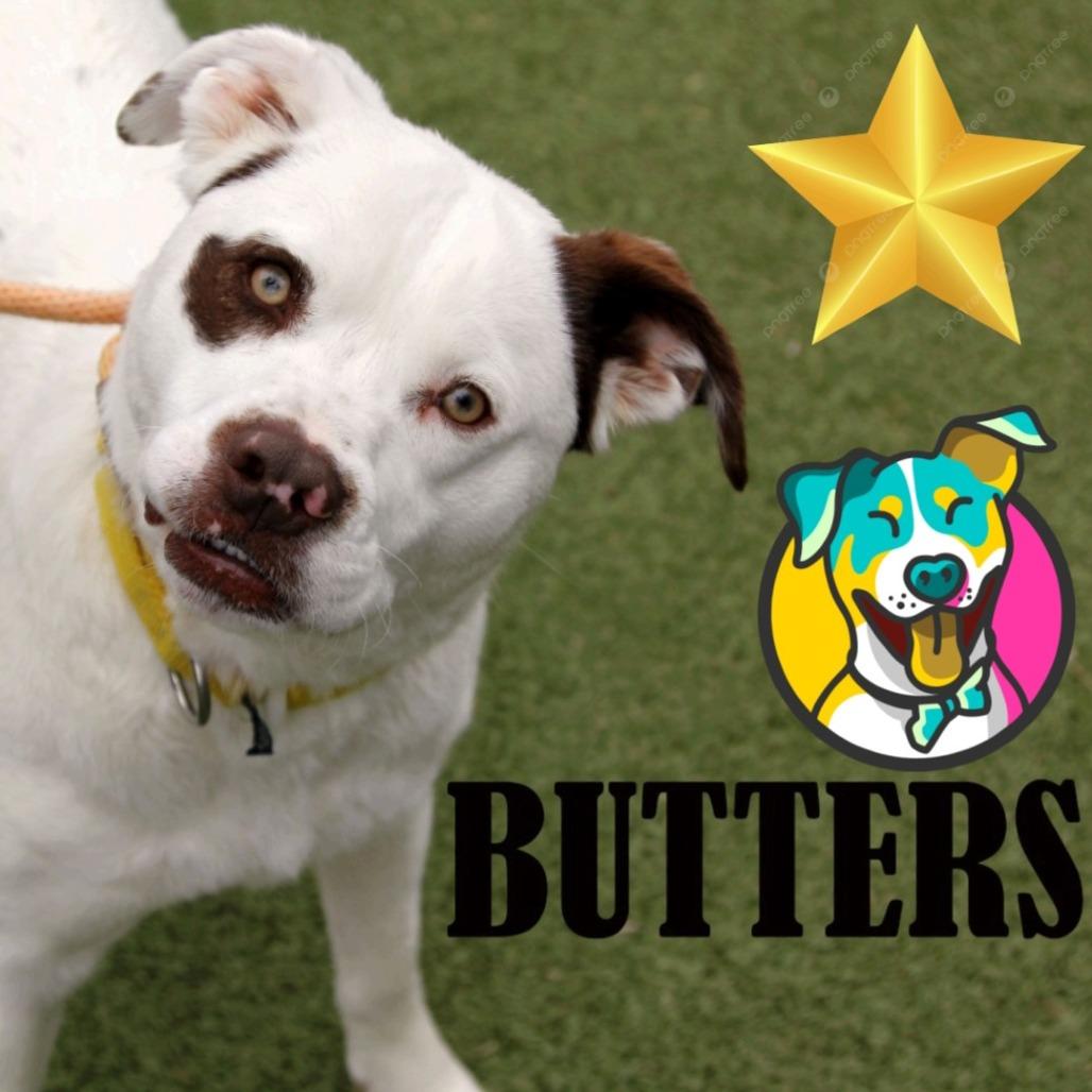 Butters