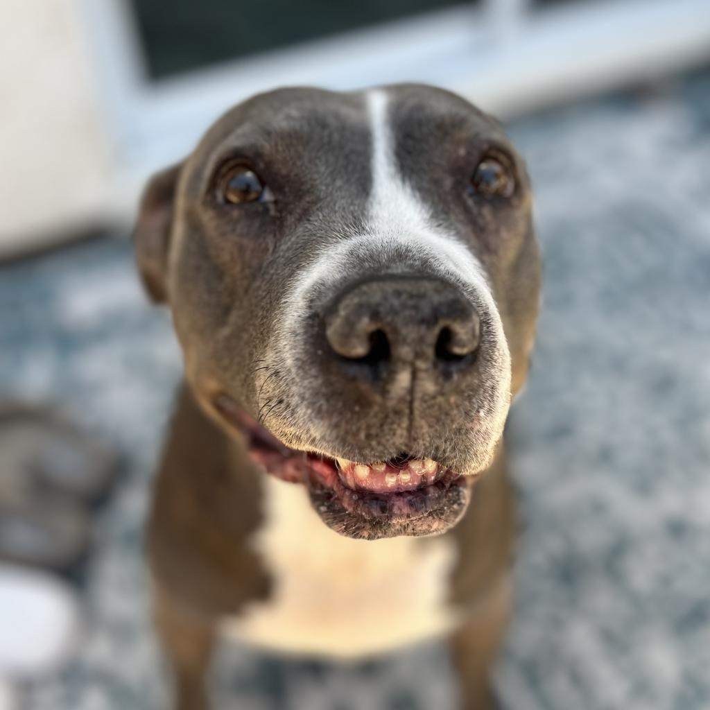 Lola