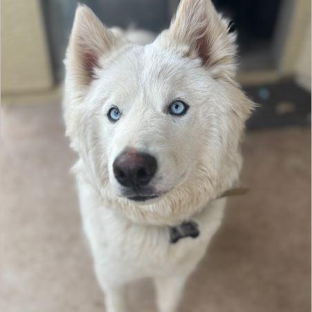 Picture of Ghost