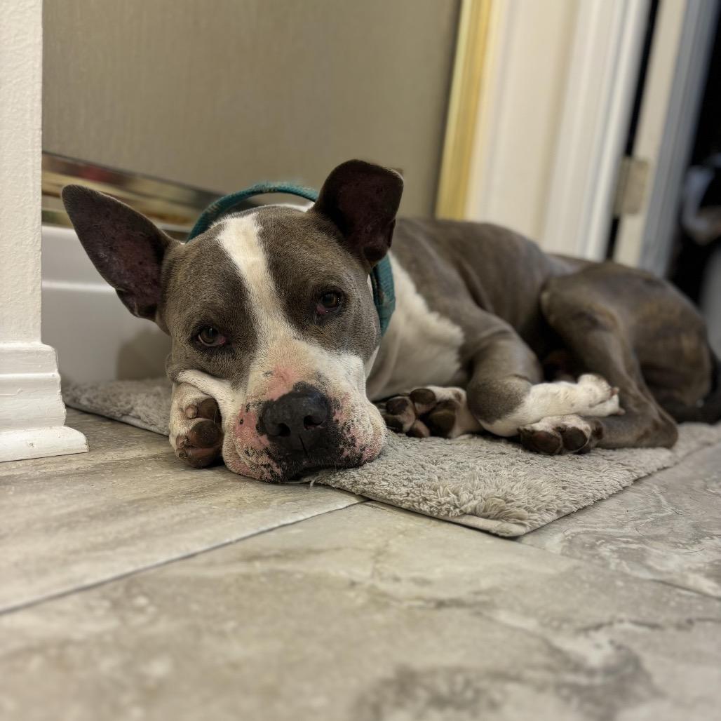 George (Reduced Rover)