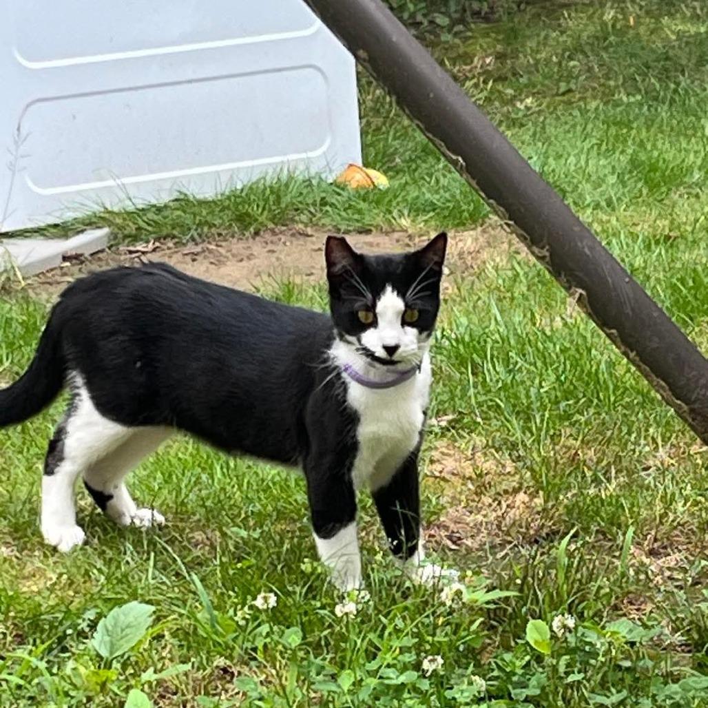 Elroy
