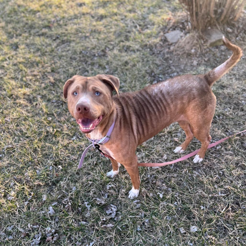 Picture of Rusty