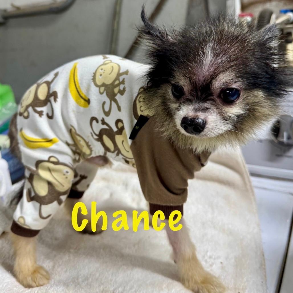Chance