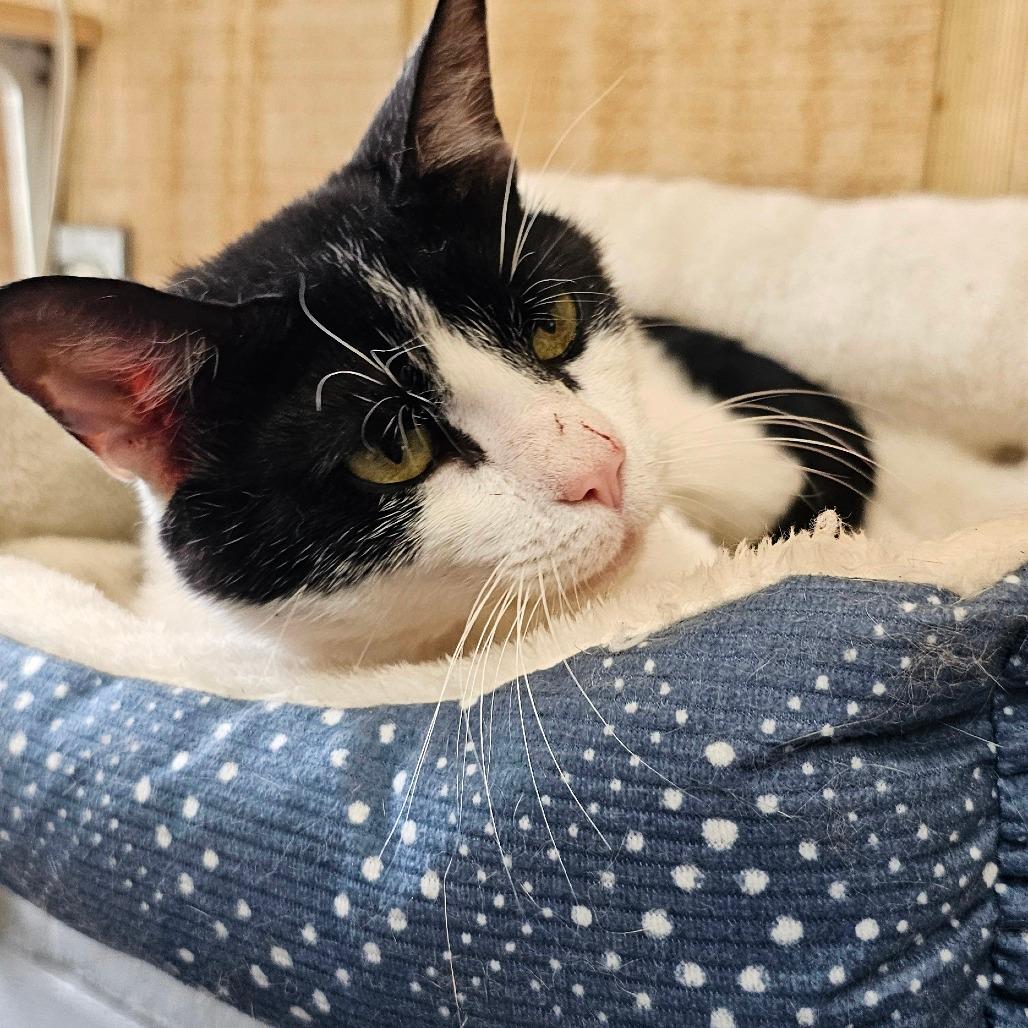 Tubbs 060304