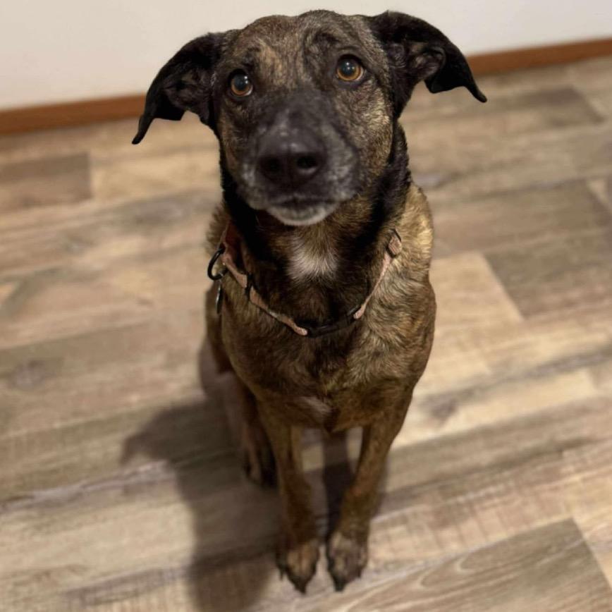Roscoe