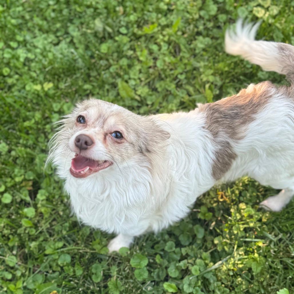 Cosmo