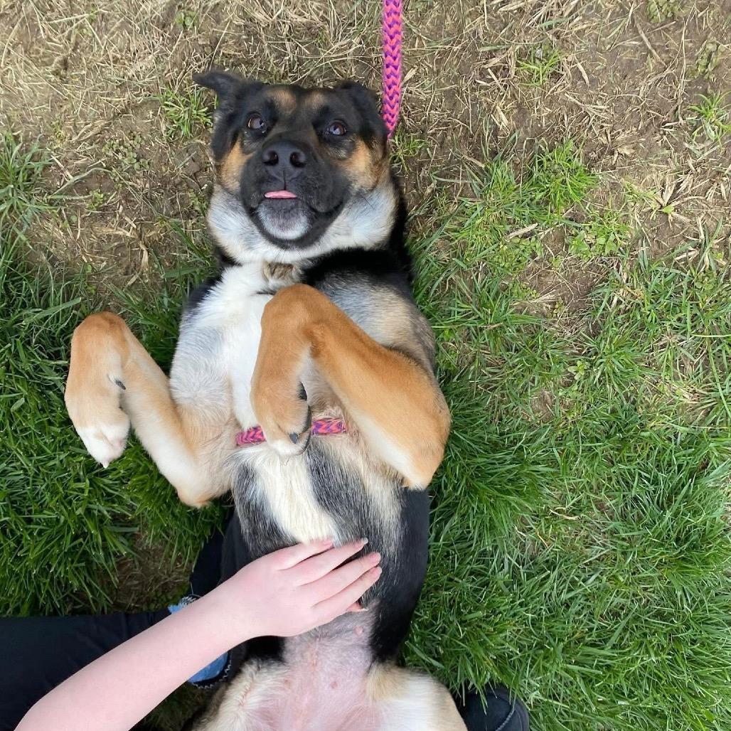 Doja