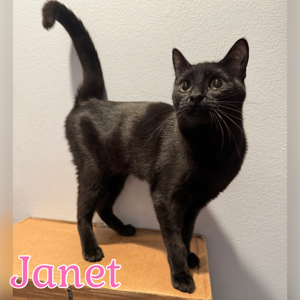 Janet