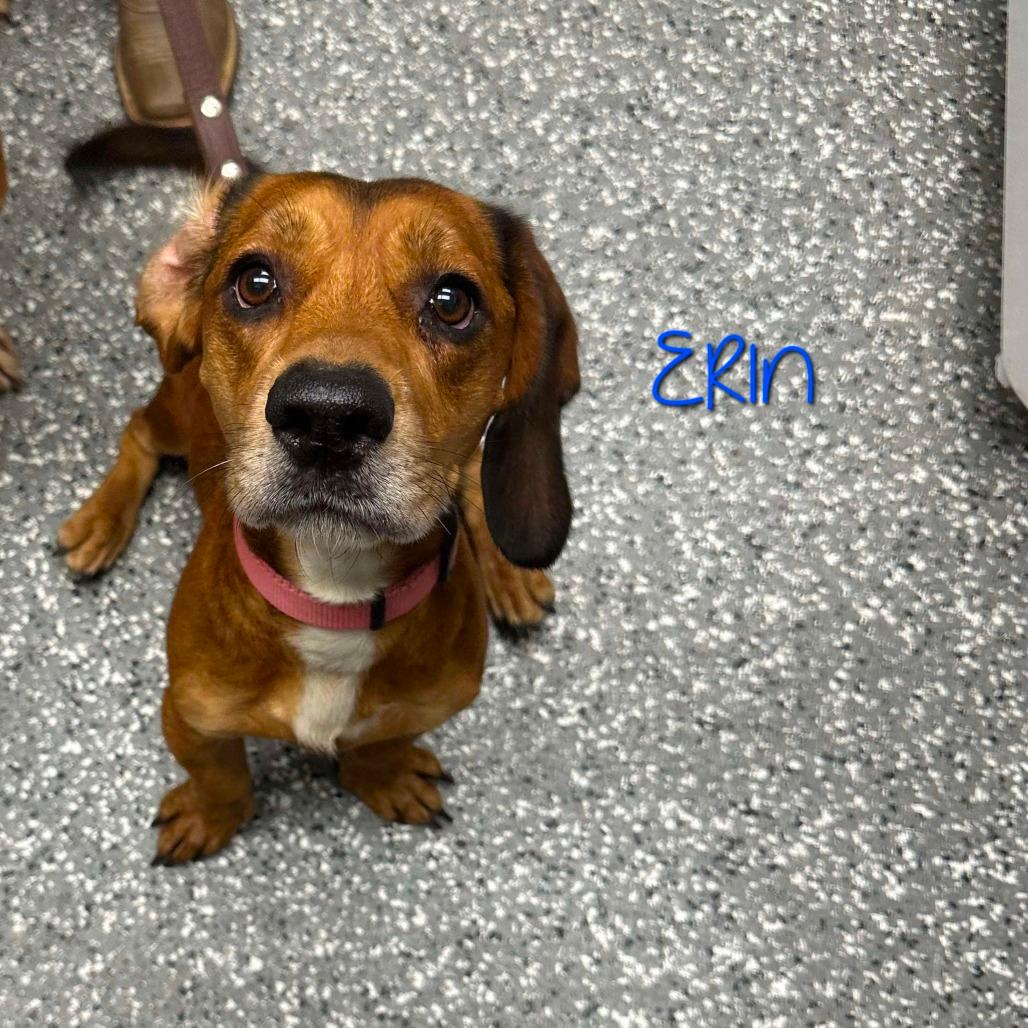 Picture of Erin