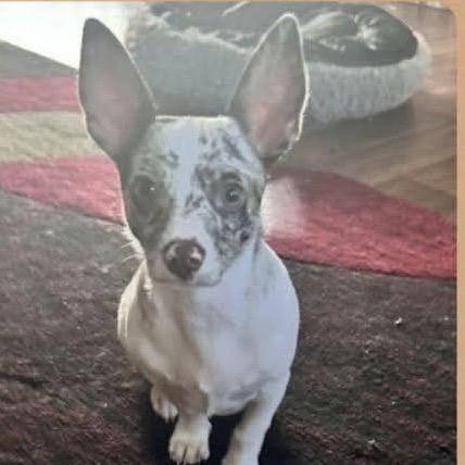 Paco