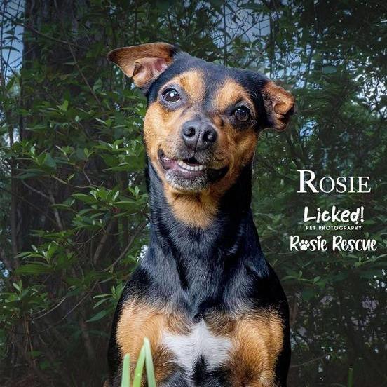 Rosie