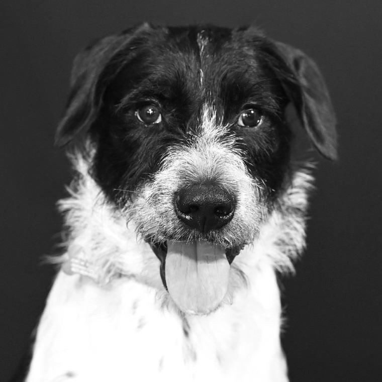George