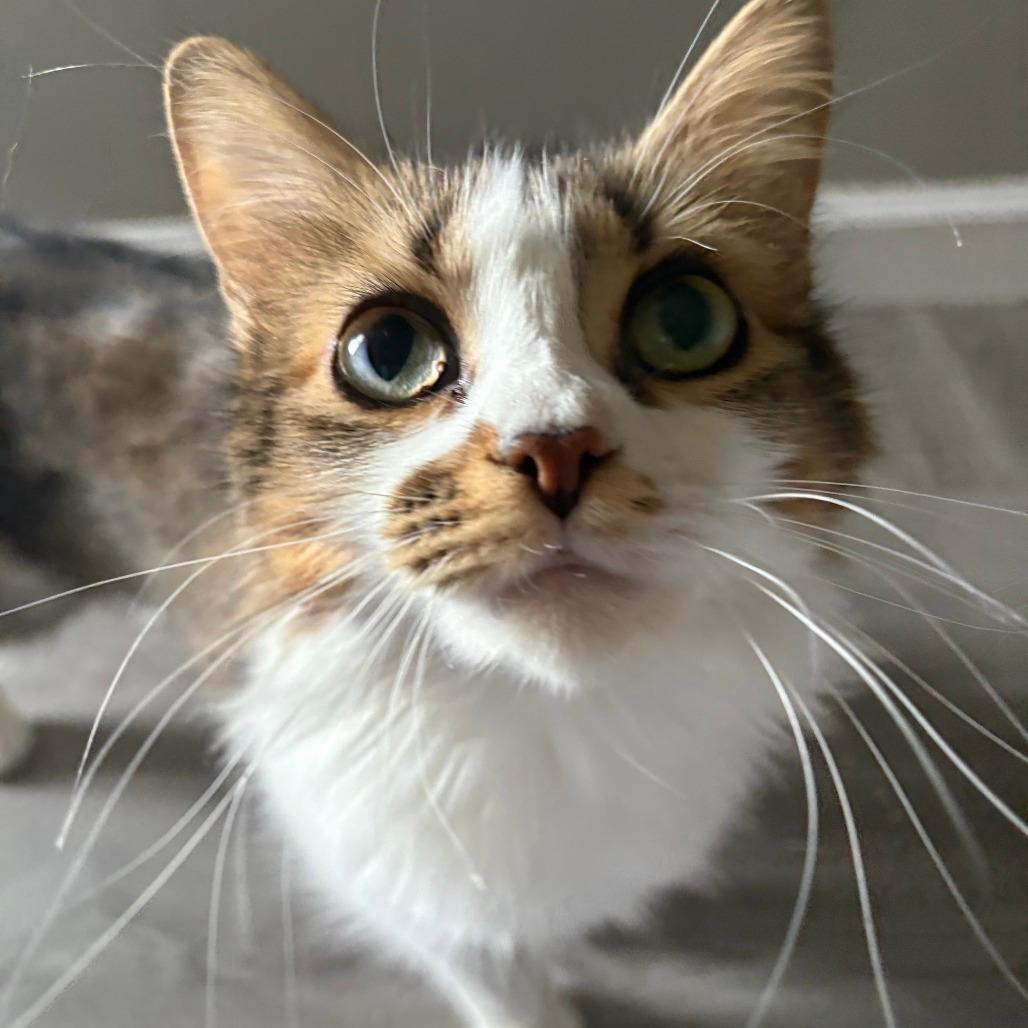Thelma
