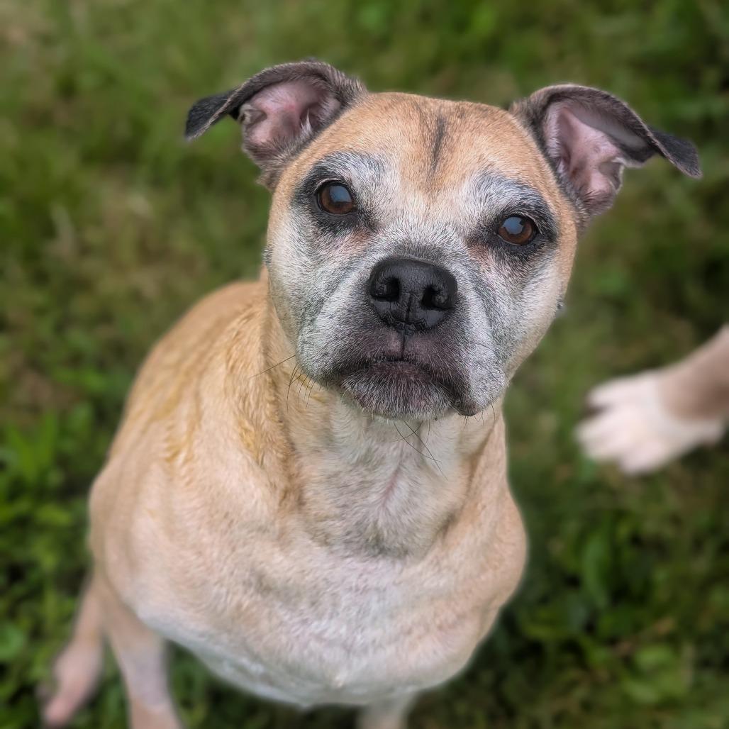 Picture of Mia