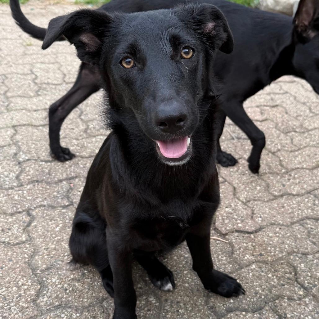 Reggie (AKA Billie)