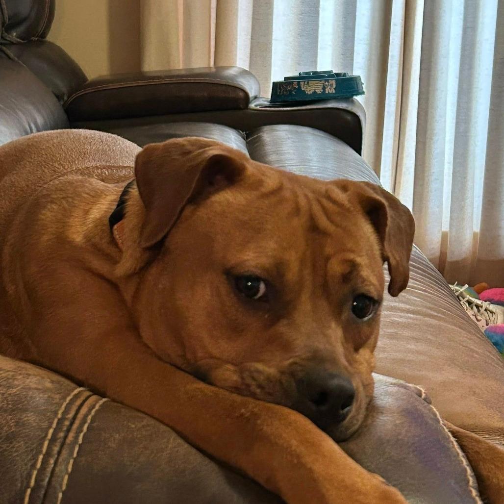Abby
