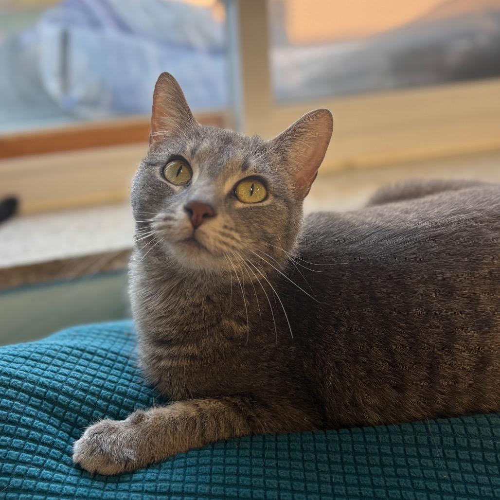 Maggie