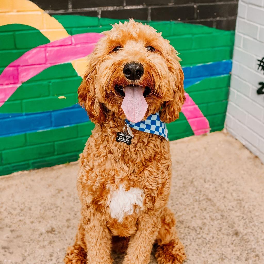 Benny