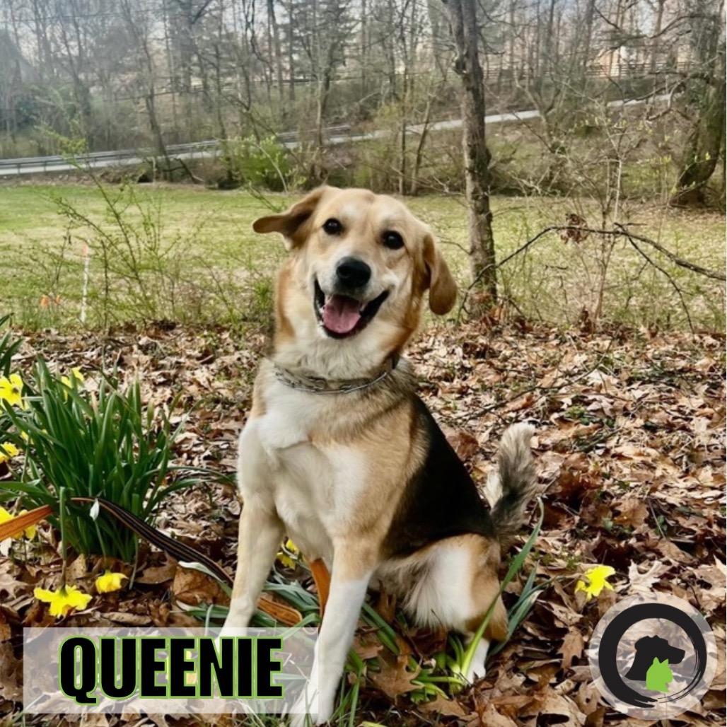 Picture of QUEENIE