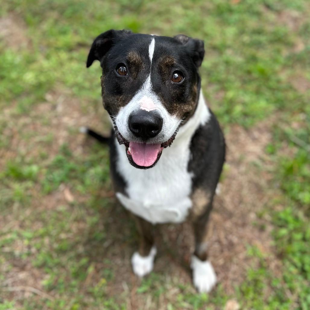 Ryder