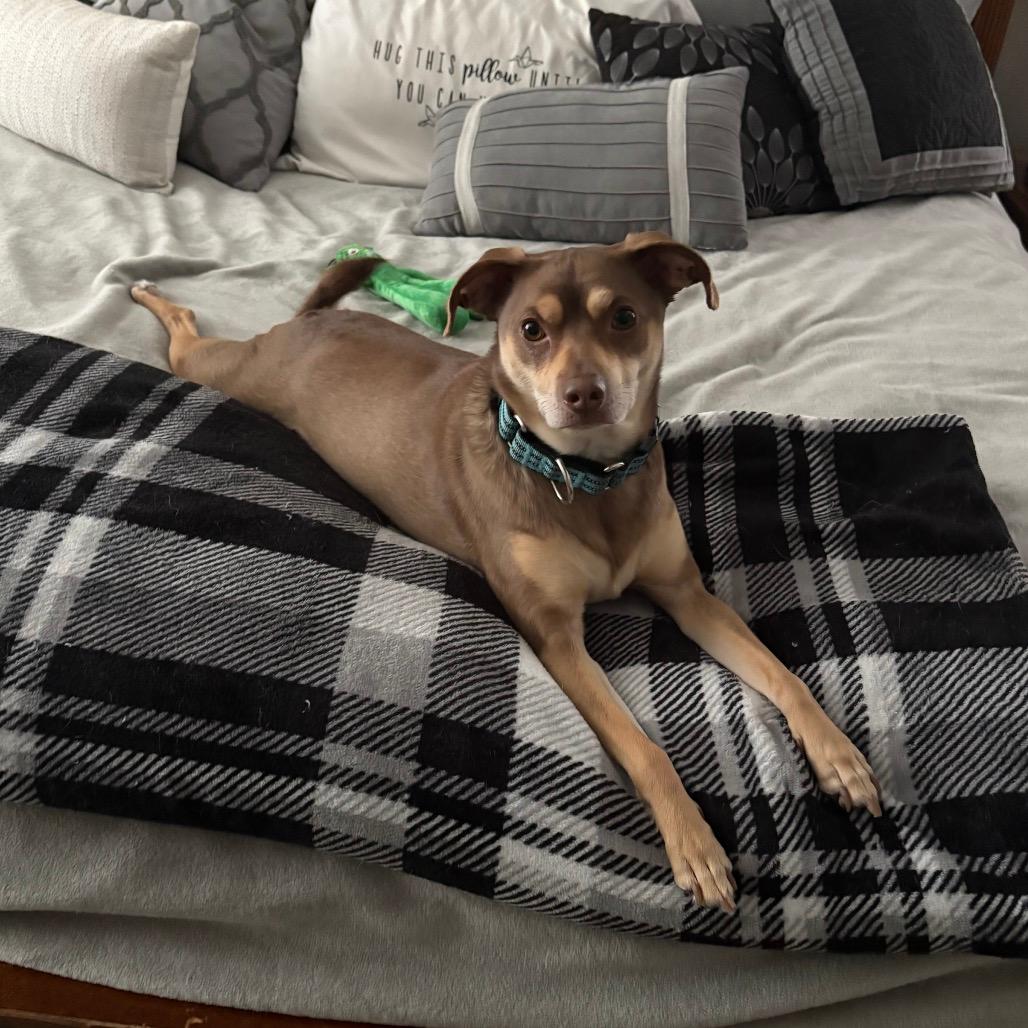 Copper