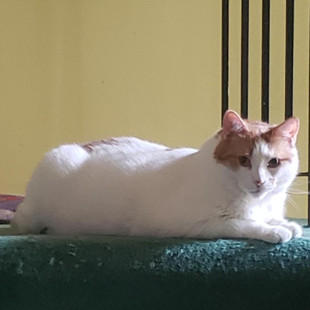Chloe