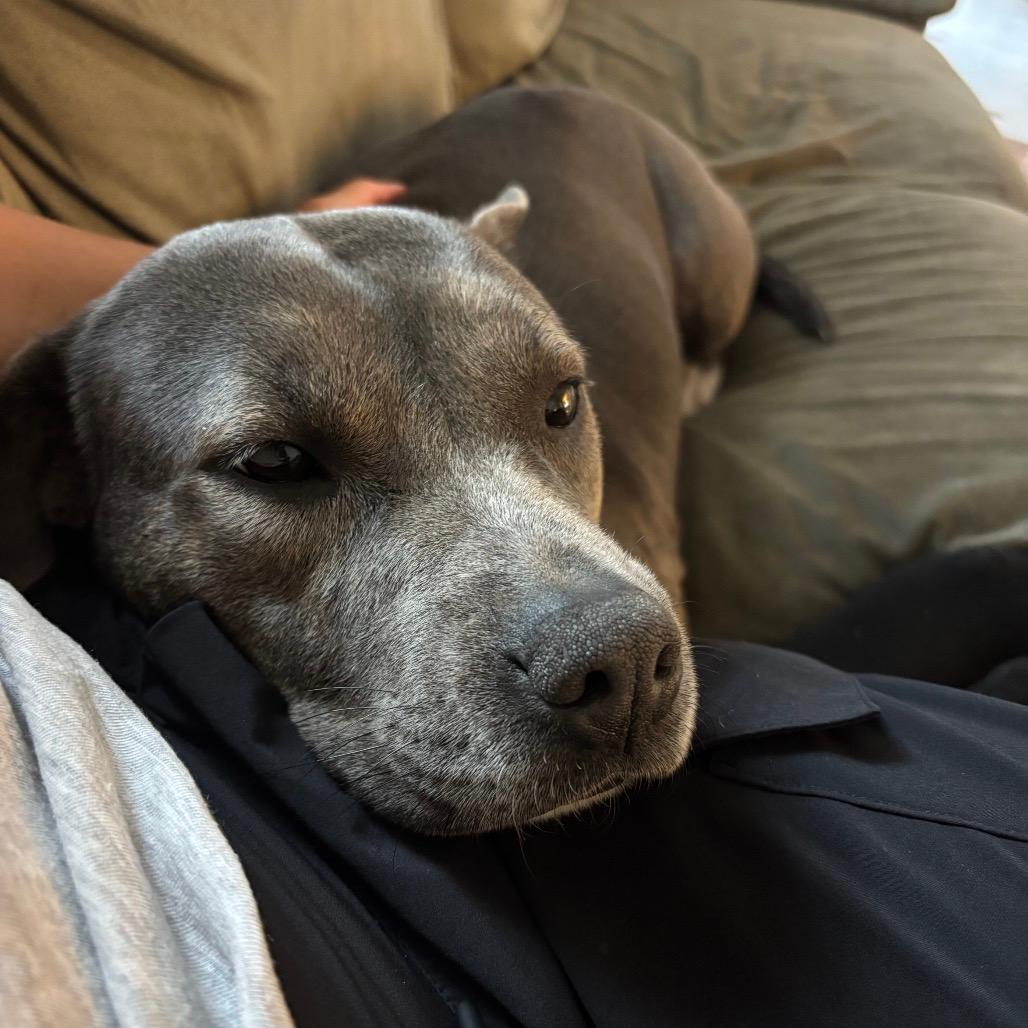 Zoey