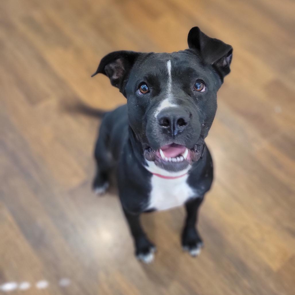 Rosie
