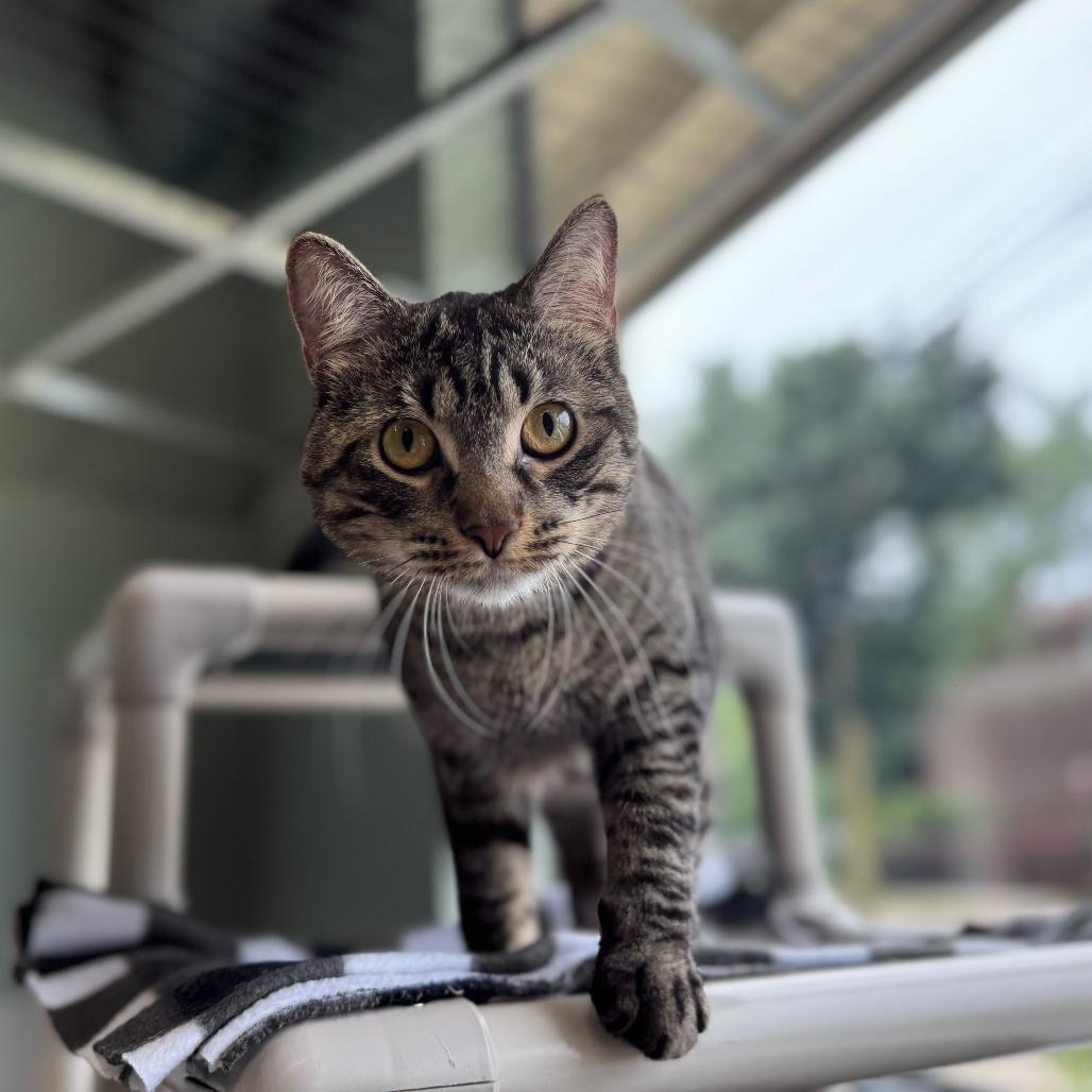 Marco