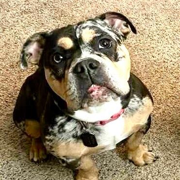 Fiona