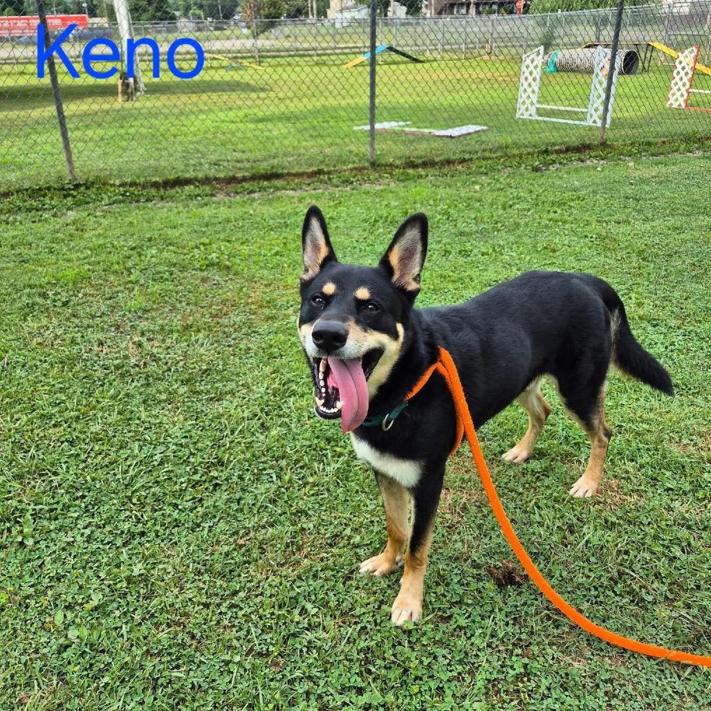 Picture of Keno