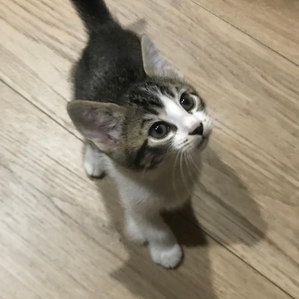 Lucie