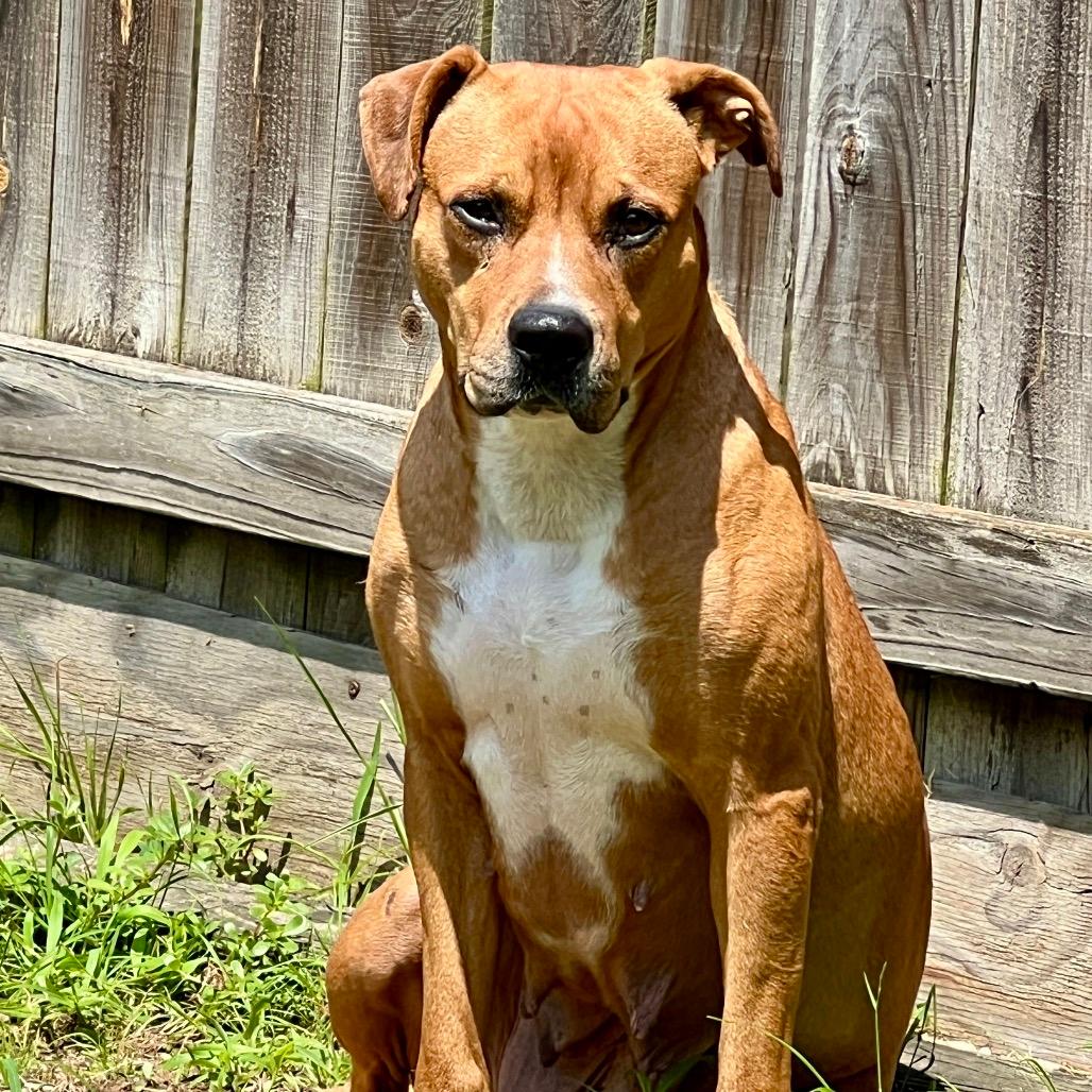 Chloe