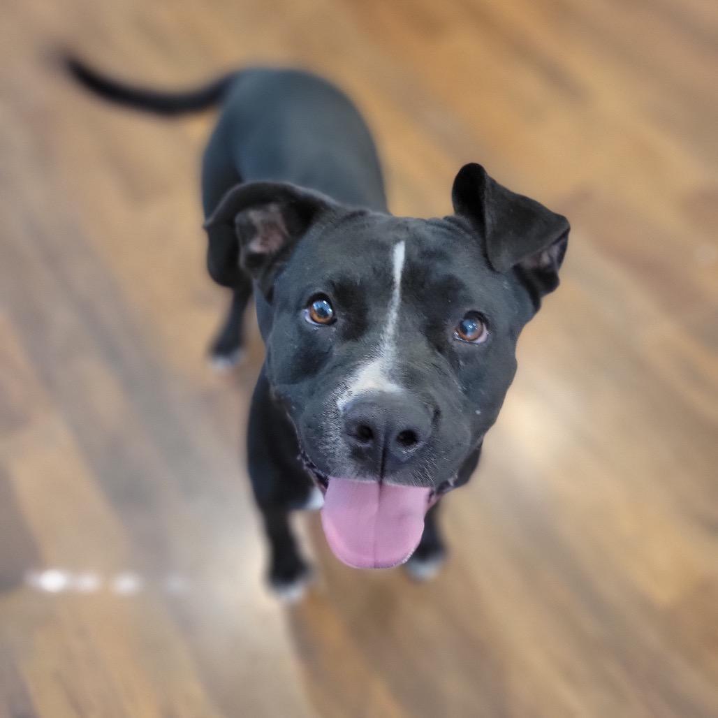 Rosie
