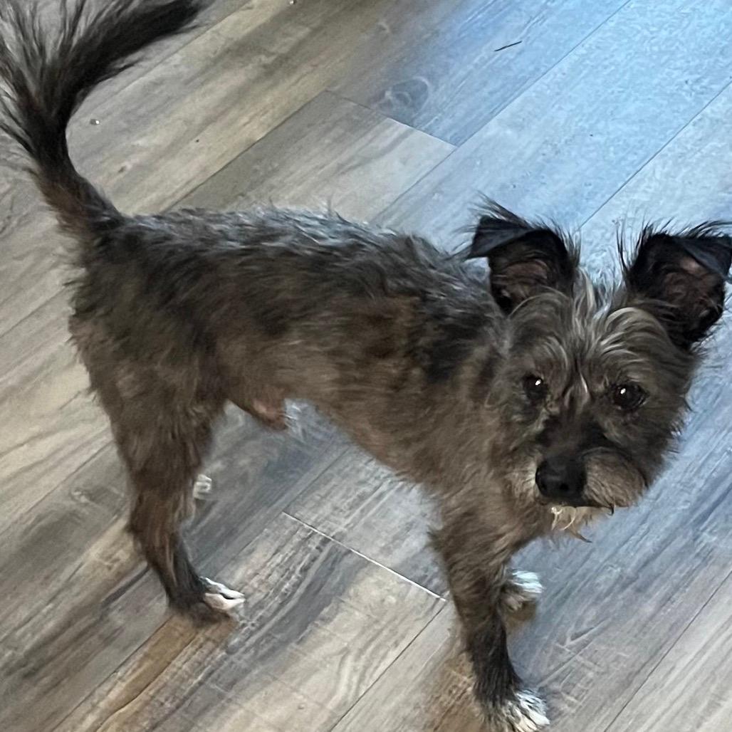 Emilio