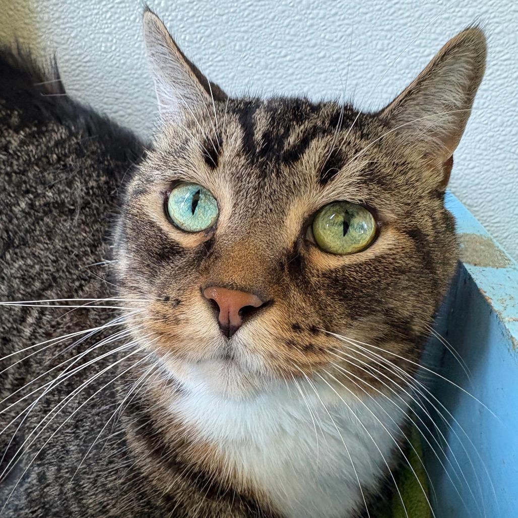 Mitty