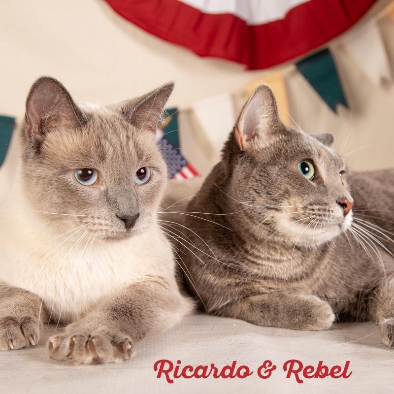 Ricardo