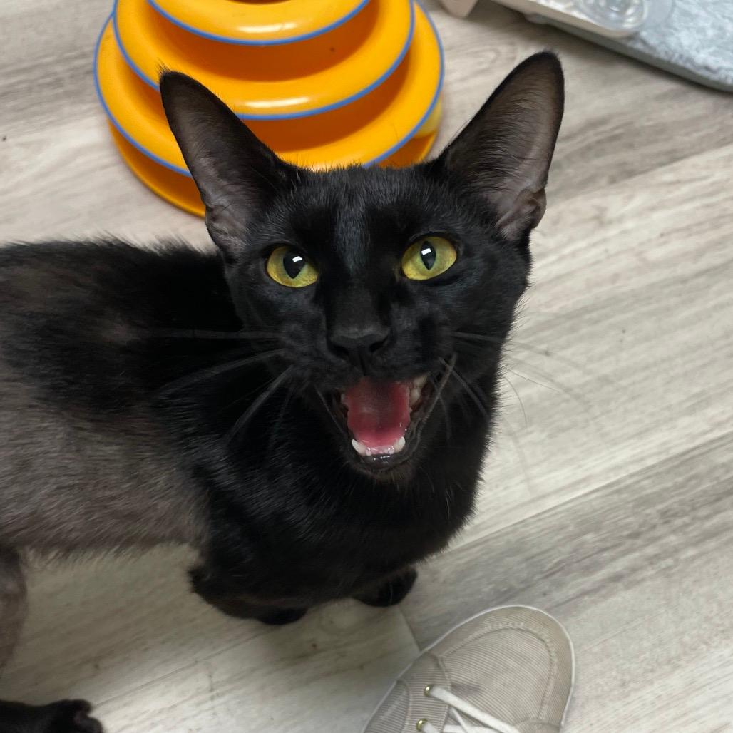 Luna