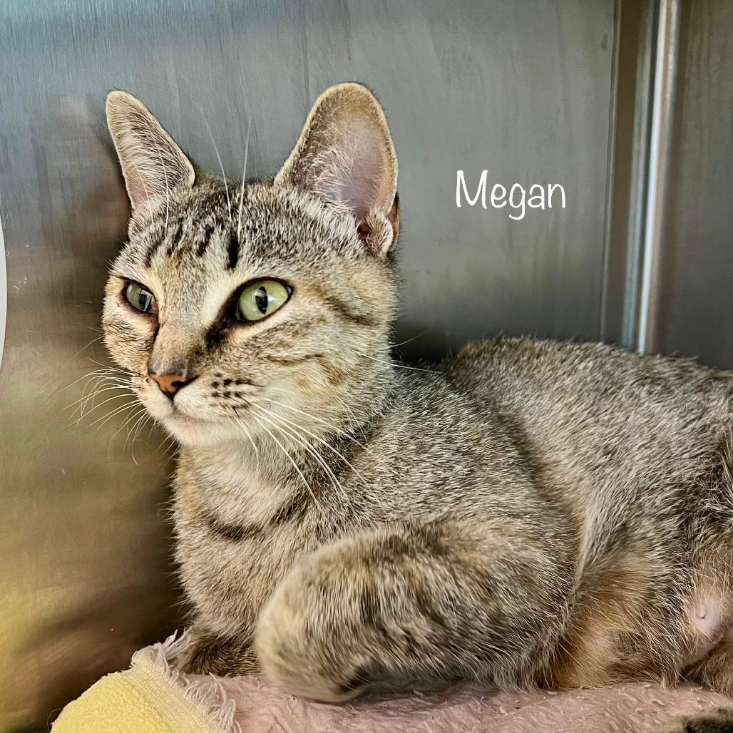 Meagan