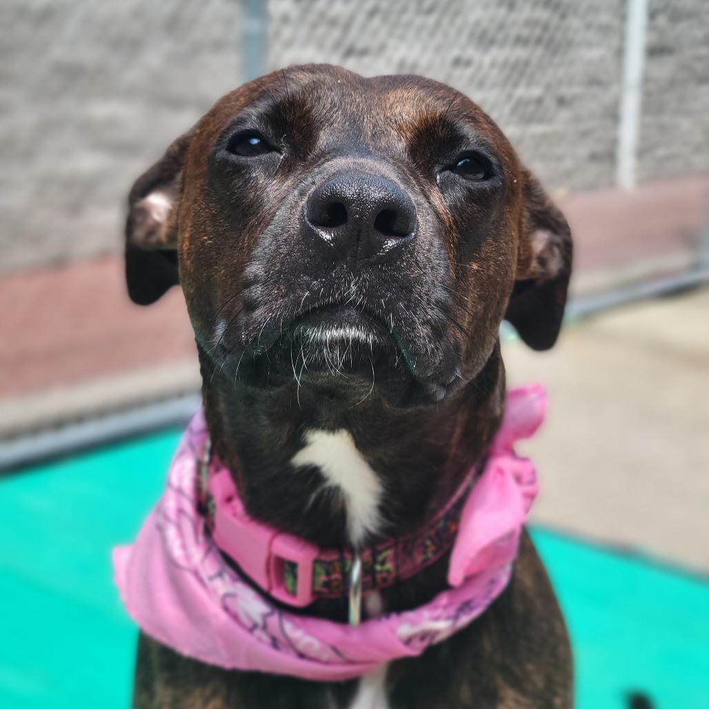 Mitzi