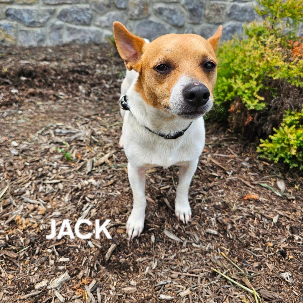 Picture of Jack