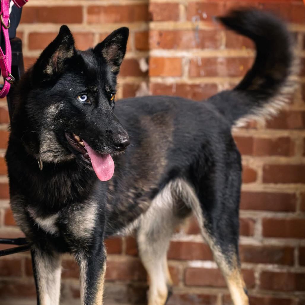 Aspen (PKA Lucy)